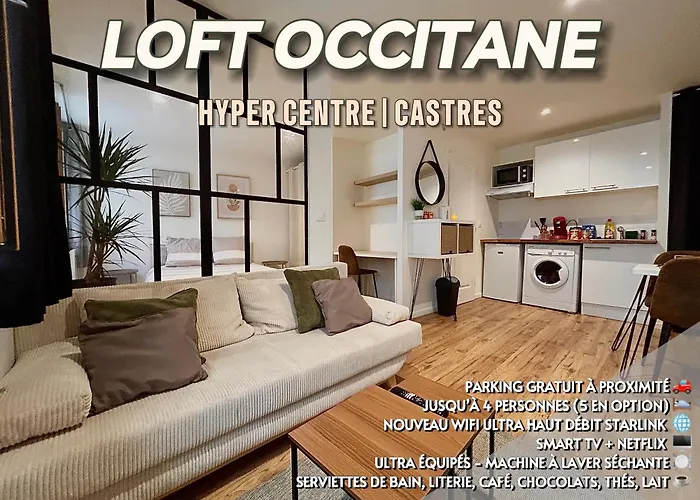 Loft Occitane Hyper Centre Castres