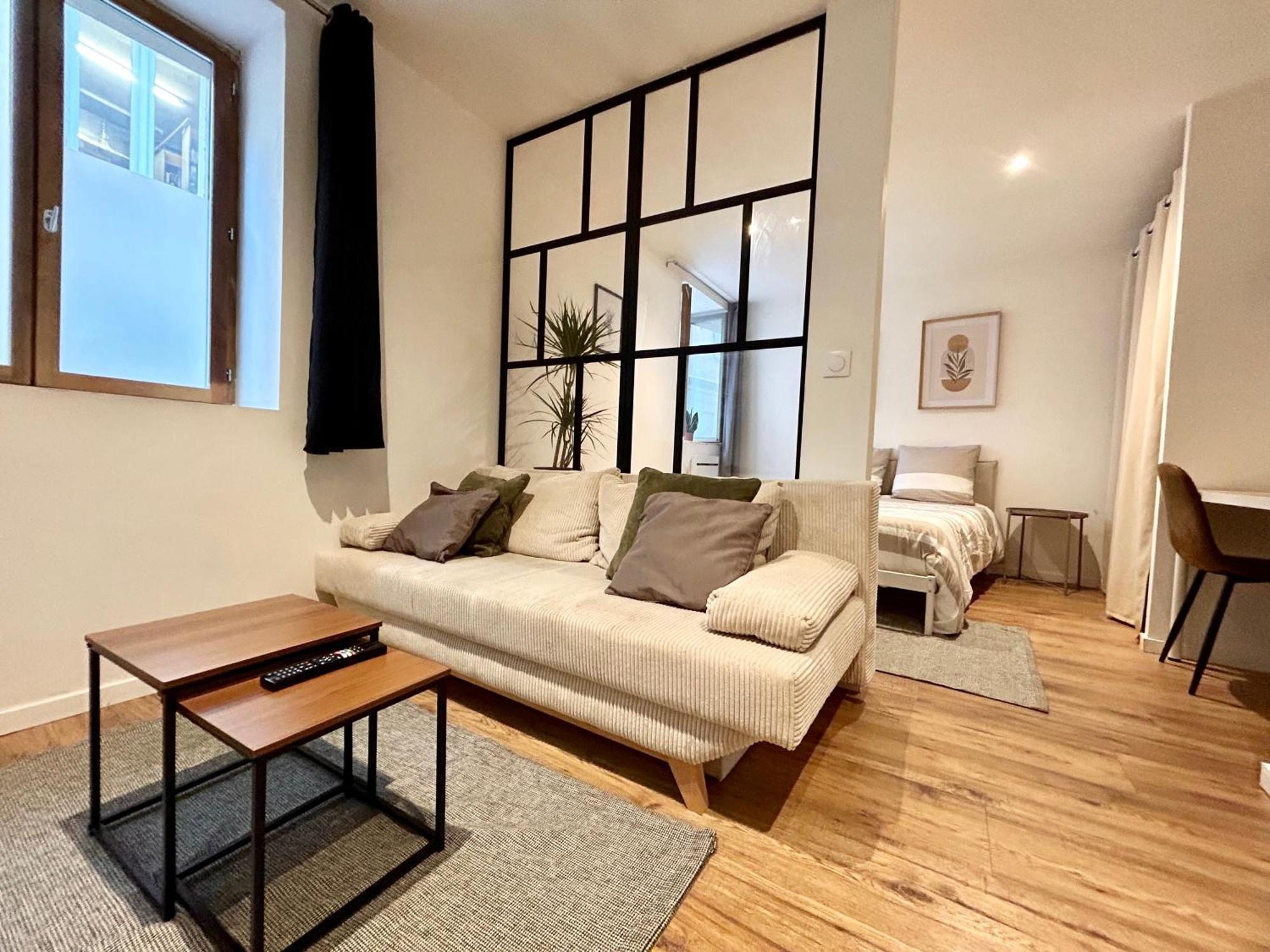Apartment Loft Occitane Hyper Centre Castres Castres (Tarn)