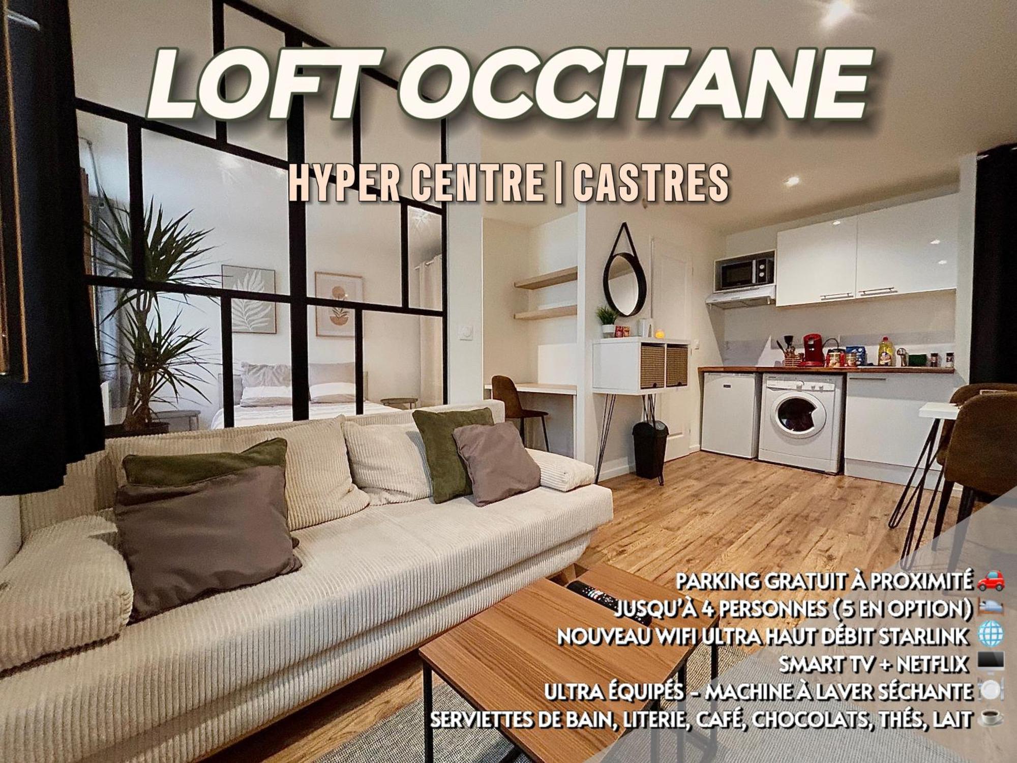 Loft Occitane Hyper Centre Castres Apartment Castres (Tarn)