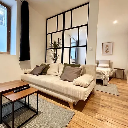 Appartement Loft Occitane Hyper Centre Castres à Castres  Extérieur photo