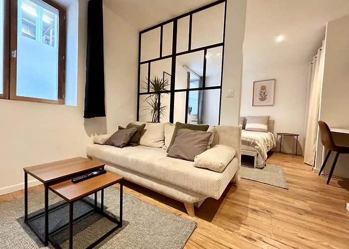 Loft Occitane Hyper Centre Castres